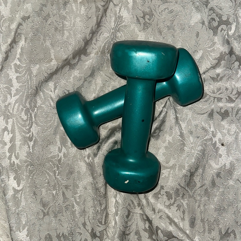 Barbells 5lbs each.